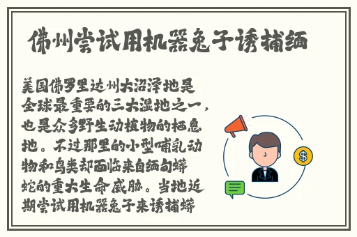 xbox免费观看高清视频